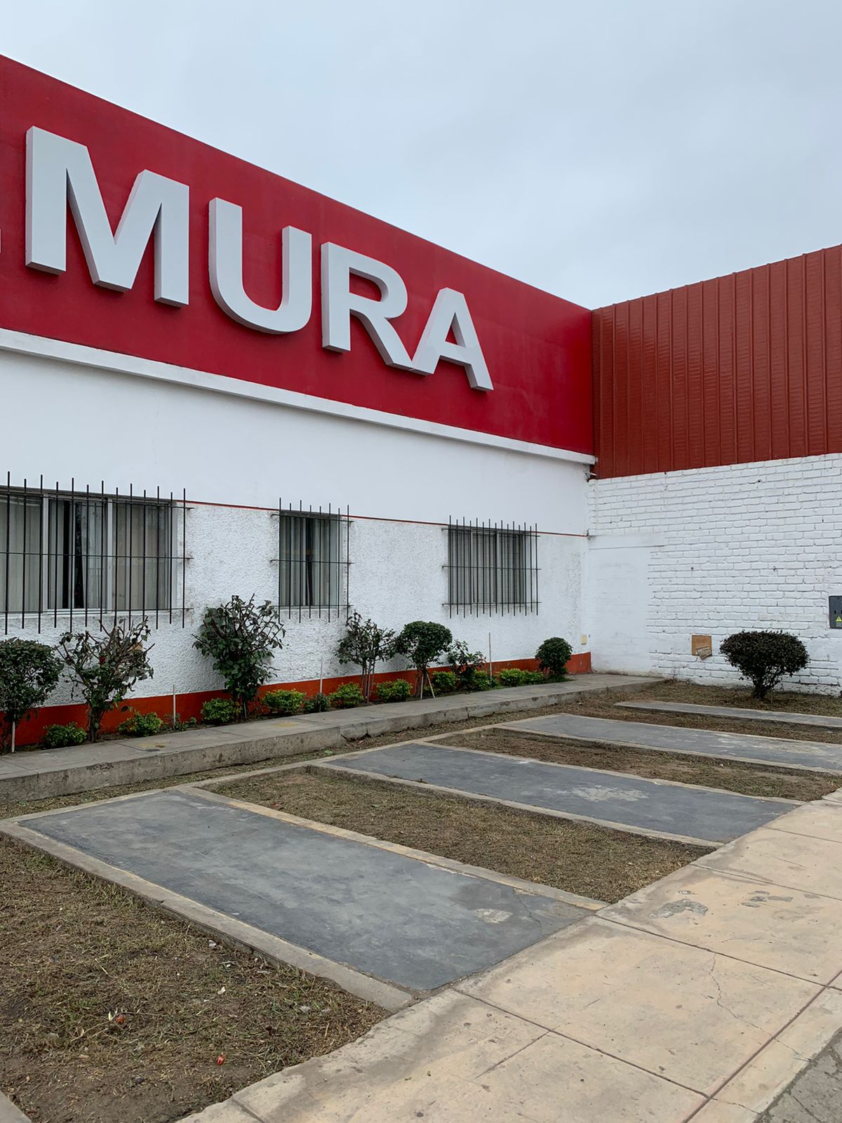 Miniatura 10