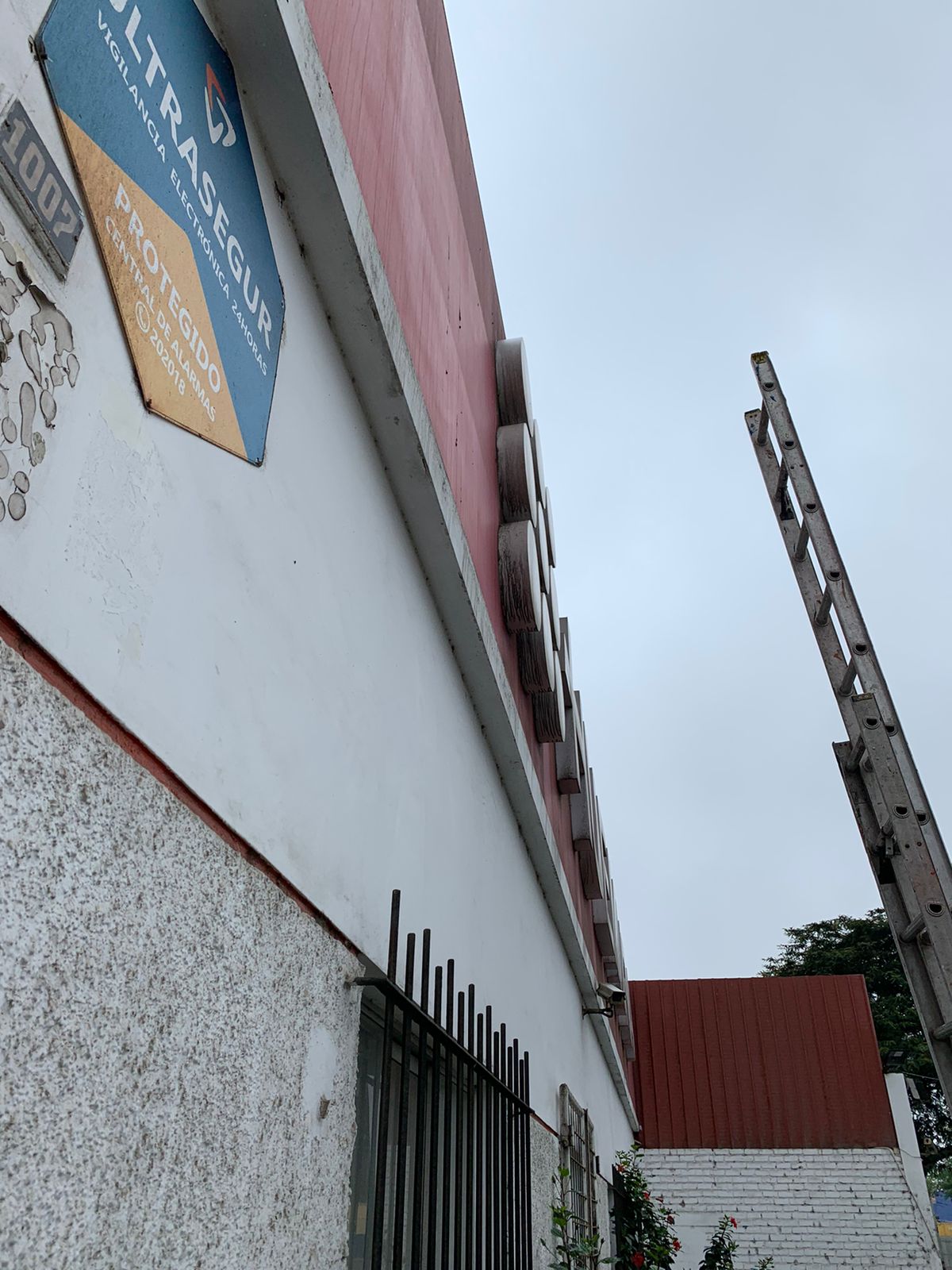Miniatura 9